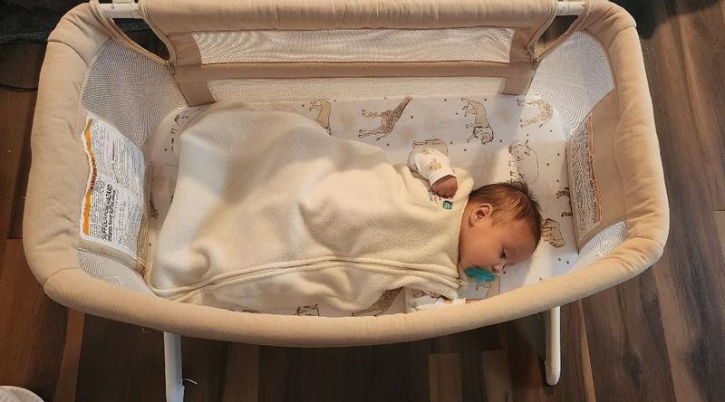 Bassinet for bed sharing best sale