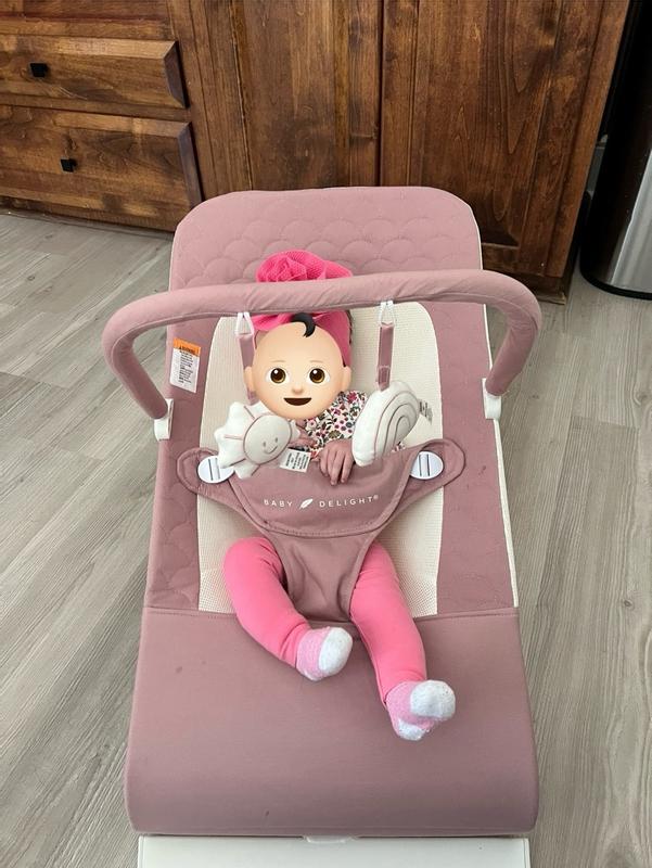 Alpine Organic Deluxe Portable Bouncer