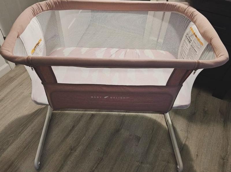 Bassinet reviews 2018 online