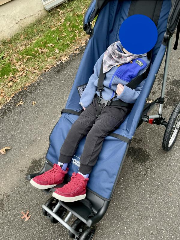 Adaptive stroller best sale