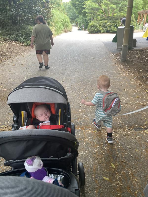 Sit and stand double stroller