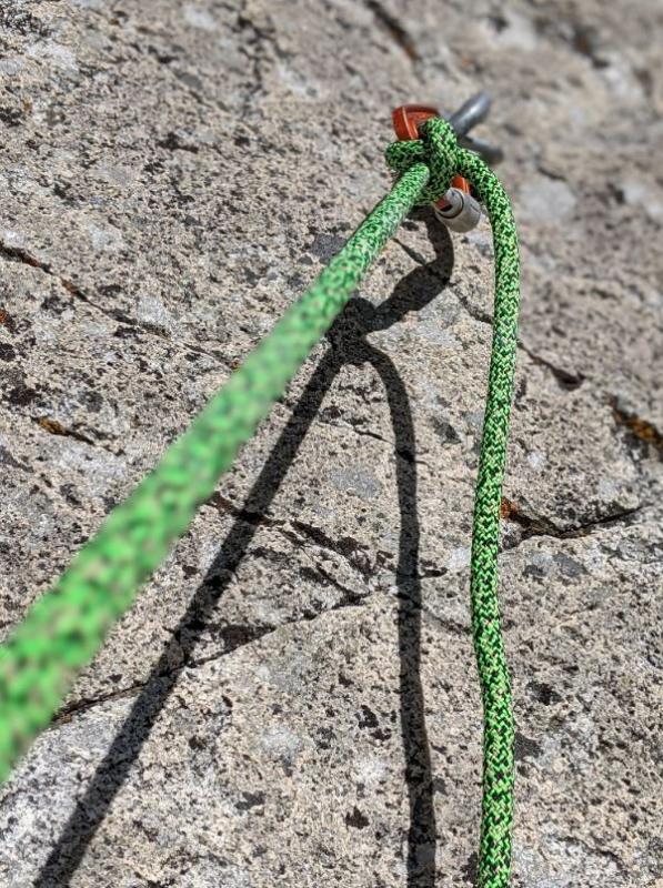 Edelrid Swift Protect Pro 8.9mm Dry Rope - Climb