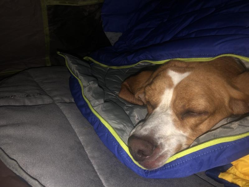 Ruffwear Highlands Dog Sleeping Bag Hike Camp