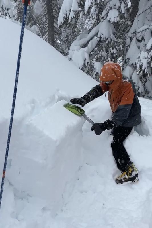 Backcountry Access Dozer 1T Ultralight Shovel Ski