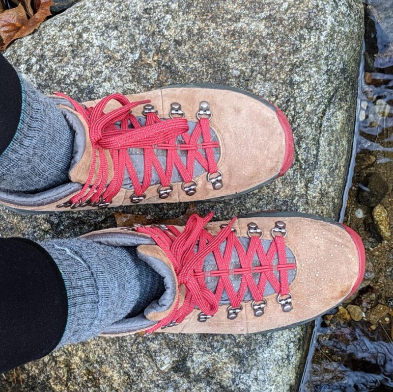 Danner Women's Mountain 600 4.5 WP Hiking Boot - Brown - 62251