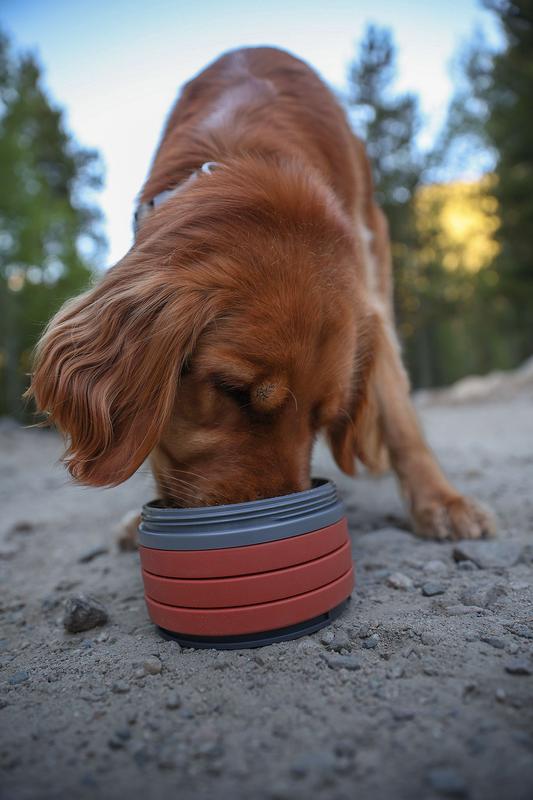 River Dog Water Bowl - Topock66