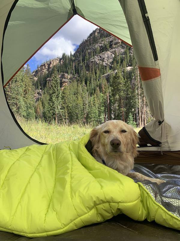 Backcountry x Petco The Dog Sleeping Bag Hike Camp