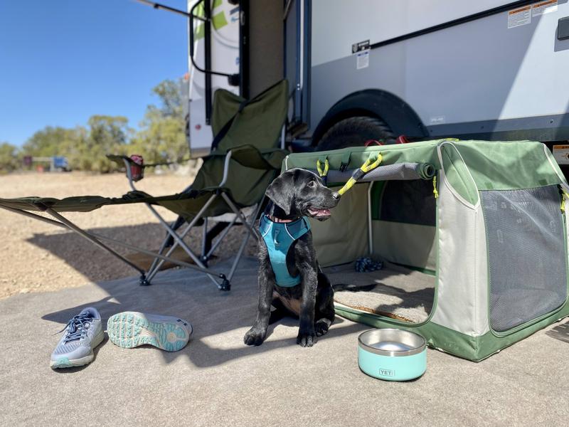 Pet crate clearance petco