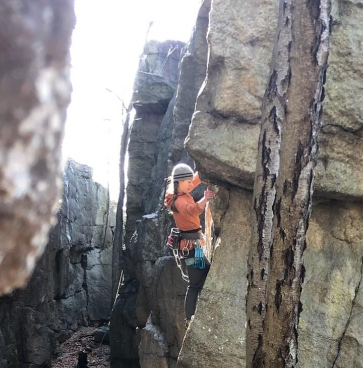 Backcountry Hybrid Grid Fleece Pullover Women's Clothing