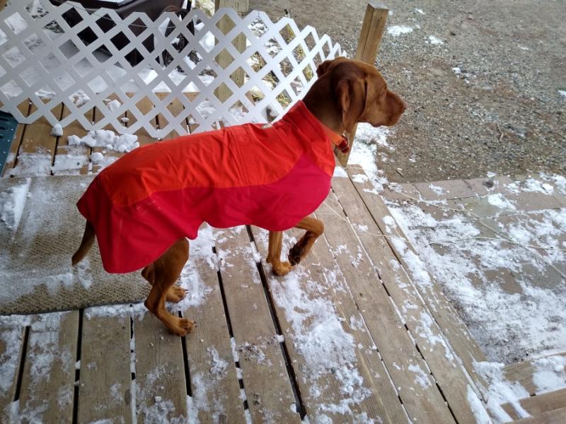 Ruffwear vert jacket store review