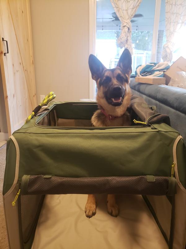 Backcountry x Petco The Foldable Dog Travel Crate - Hike & Camp