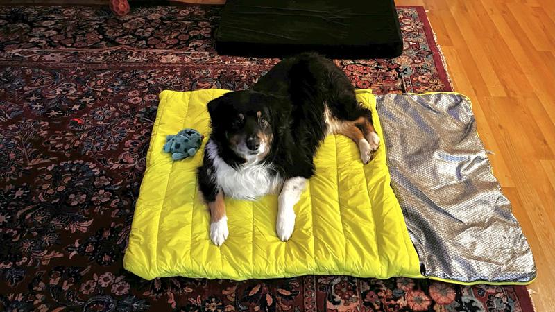 Avalanche dog outlet sleeping bag