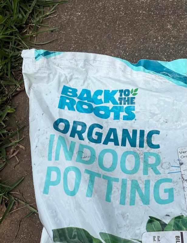 Back to the Roots Organic Indoor Potting Mix 6 QT, Brown, Medium | Petco