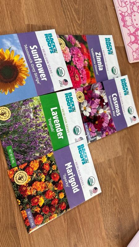 chamomile flower seeds German Chamomile Seeds
