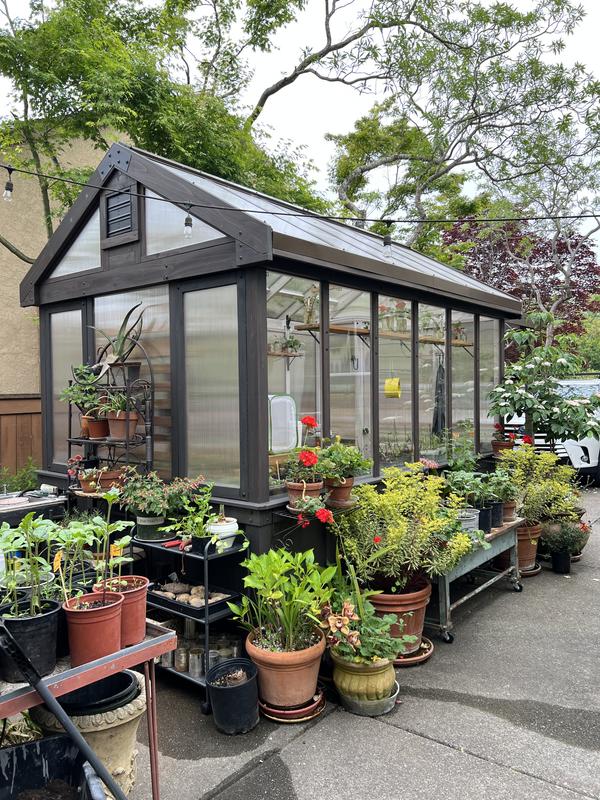 Have a question about Backyard Discovery Bellerose XL 13 ft. x 11