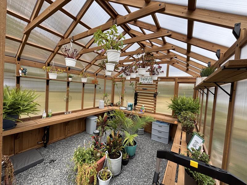 13x11 Bellerose XL Greenhouse