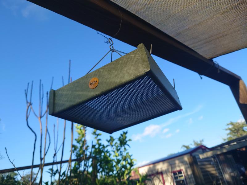 perfect for small birds.