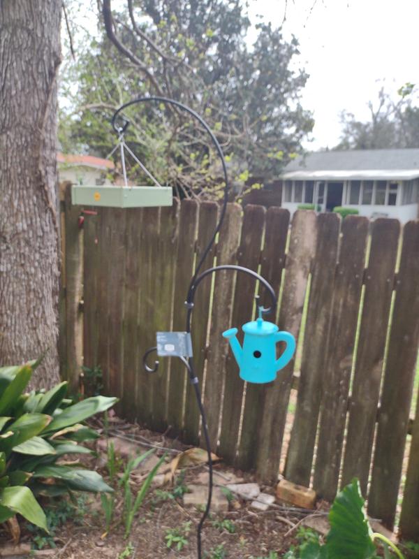Bird feeder in the yard.