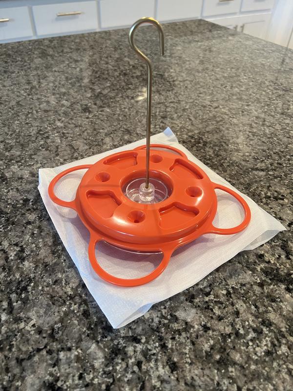 nice addition to attract winged visitors