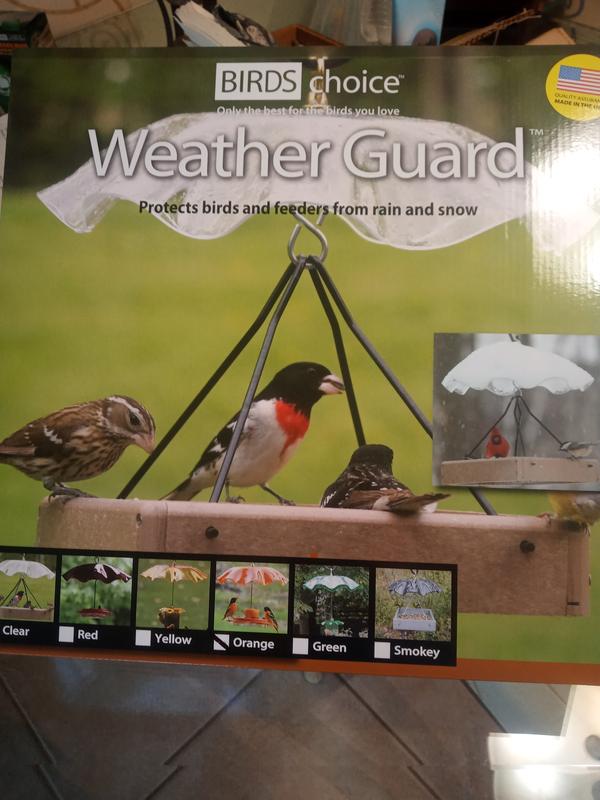 Perfect for the birds