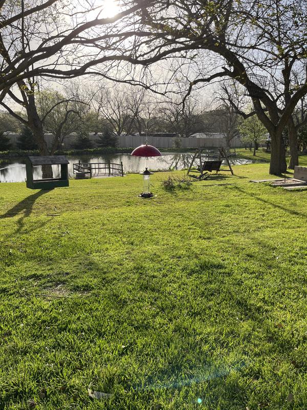 Covers fairly well the hummingbird feeder