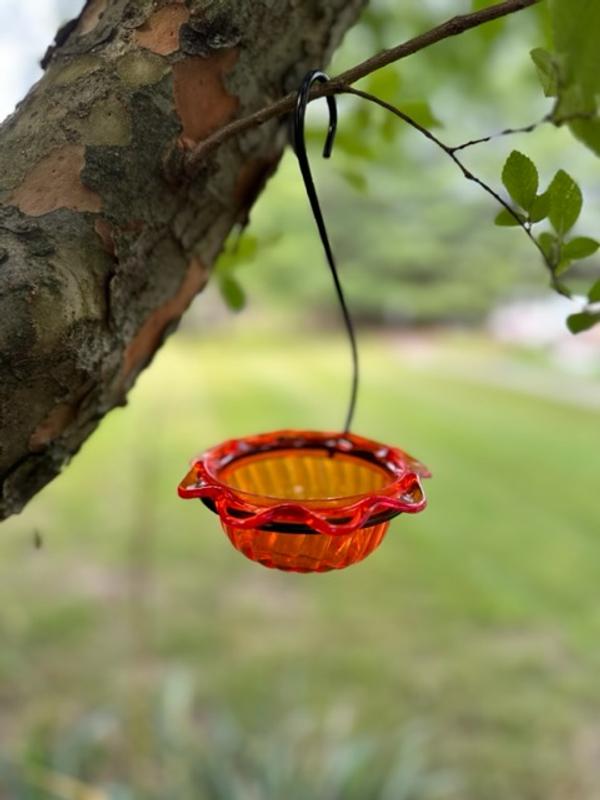 Birds Choice Oriole bird feeder