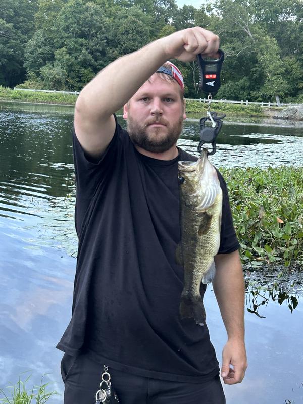 Dock flipping a senko