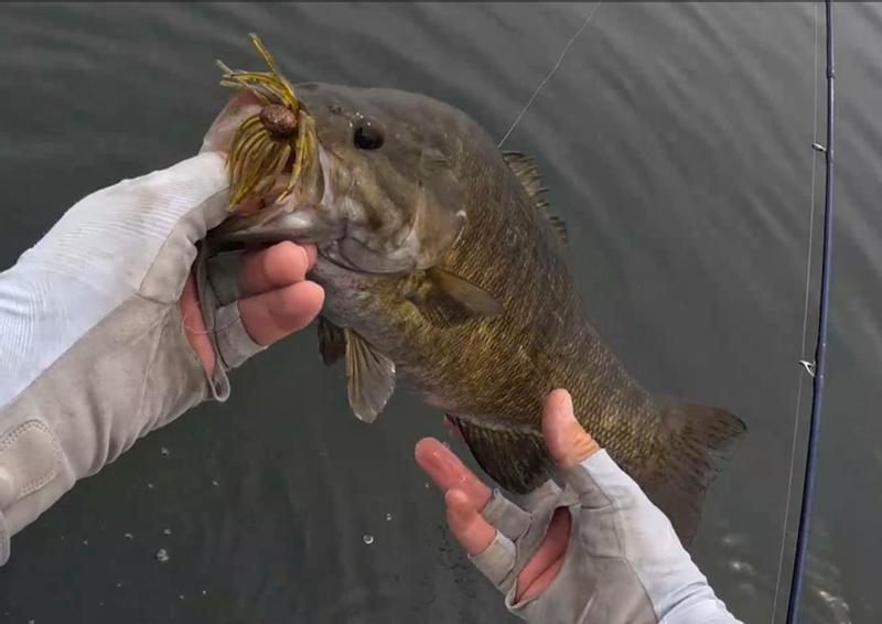 ヤコブハル　jacob hull バングル　surr by laila SURR by LAILA