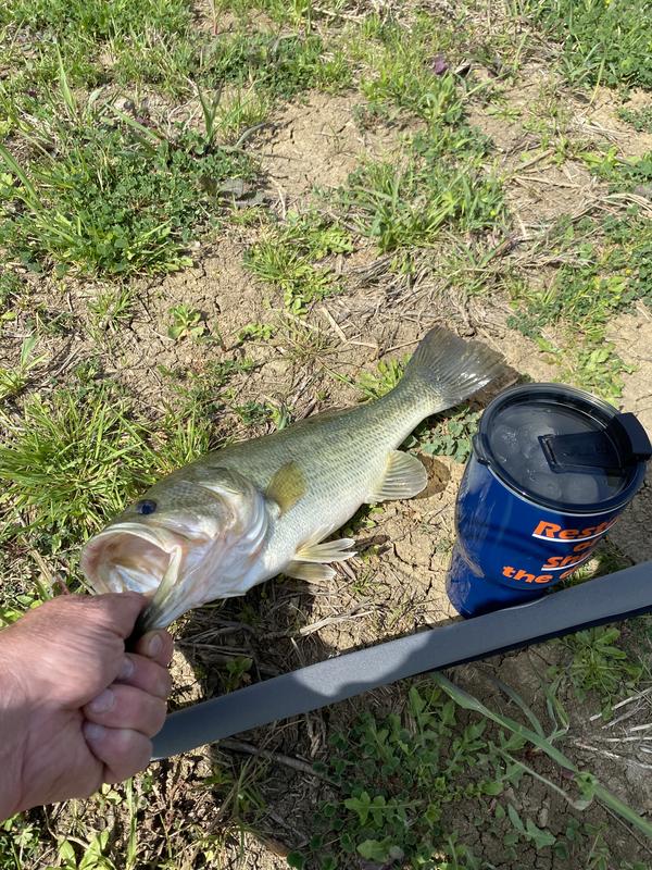 Zako Slim 6pk - Featured - Yamamoto