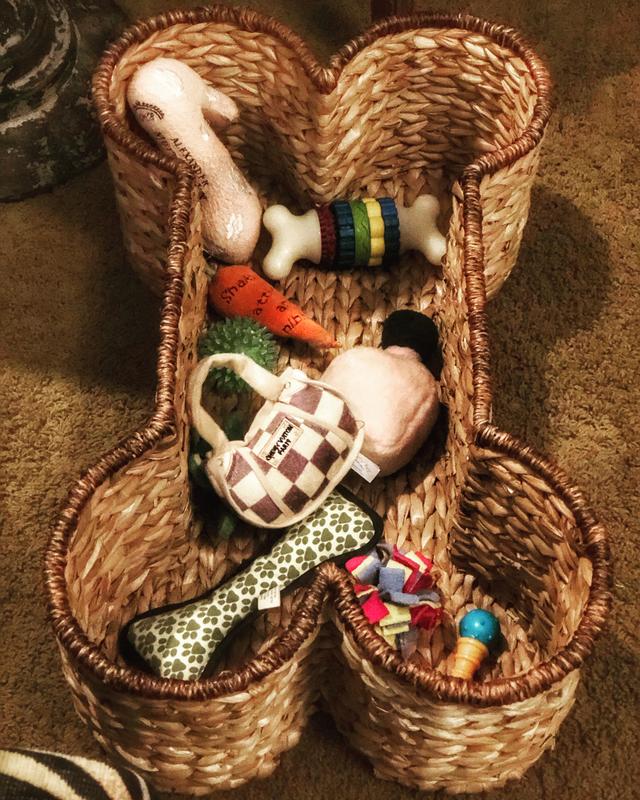 Bone Shaped Basket