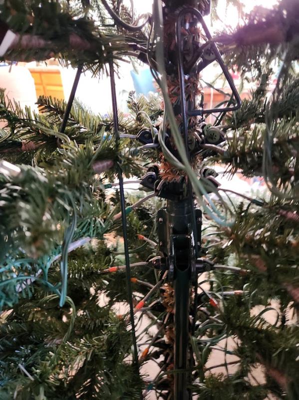 these bars seperate the tree