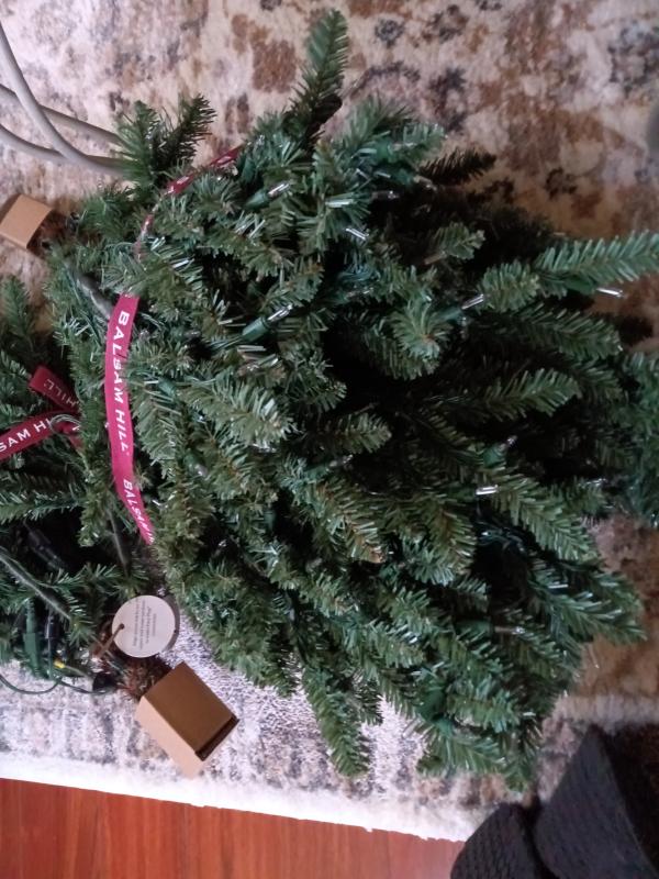 Not the type of branches I wanted