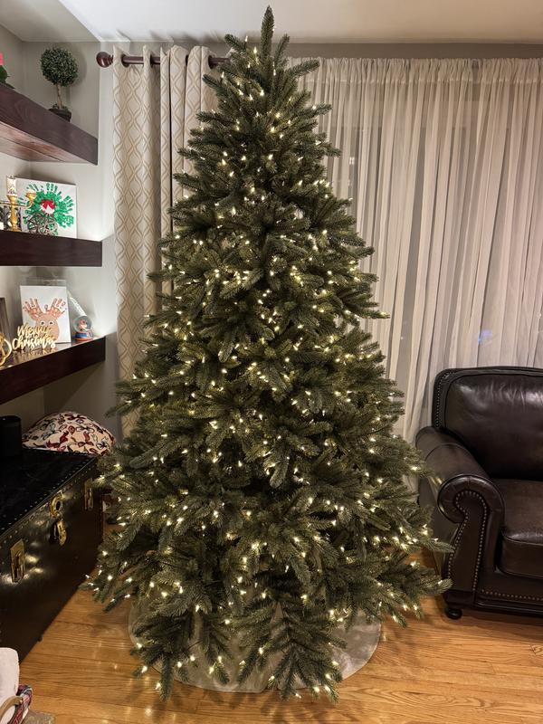 Review Thumbnail Image 1 373617194