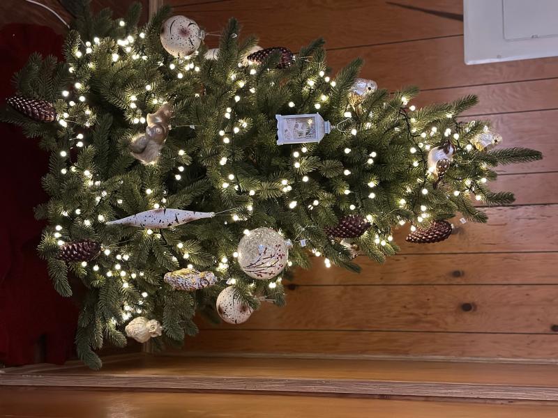 I got the Cherry String lights for it