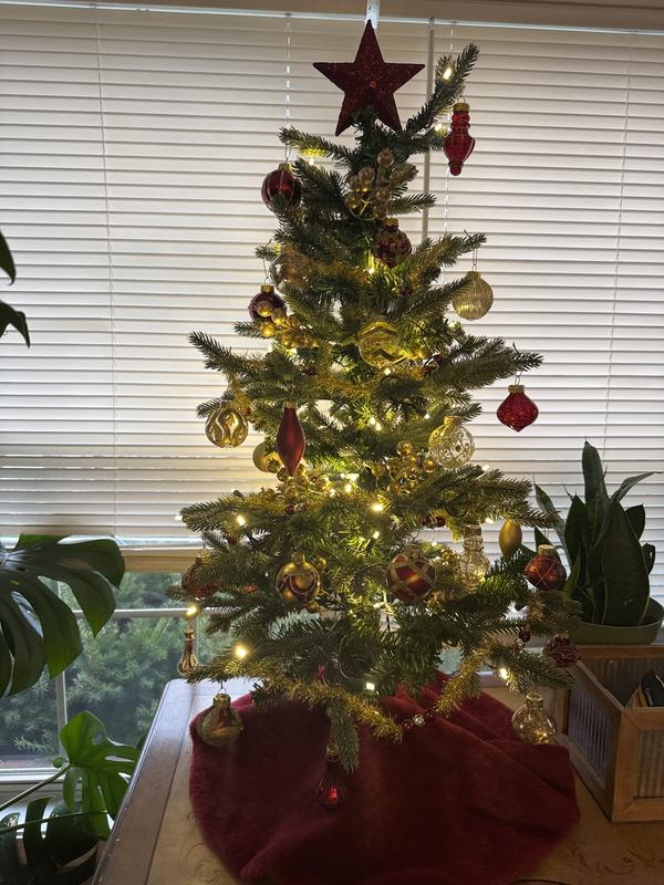 Review Thumbnail Image 2 371007712