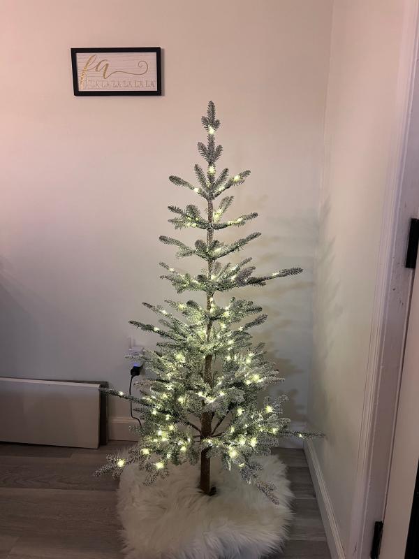 Love this sparse Alpine tree!