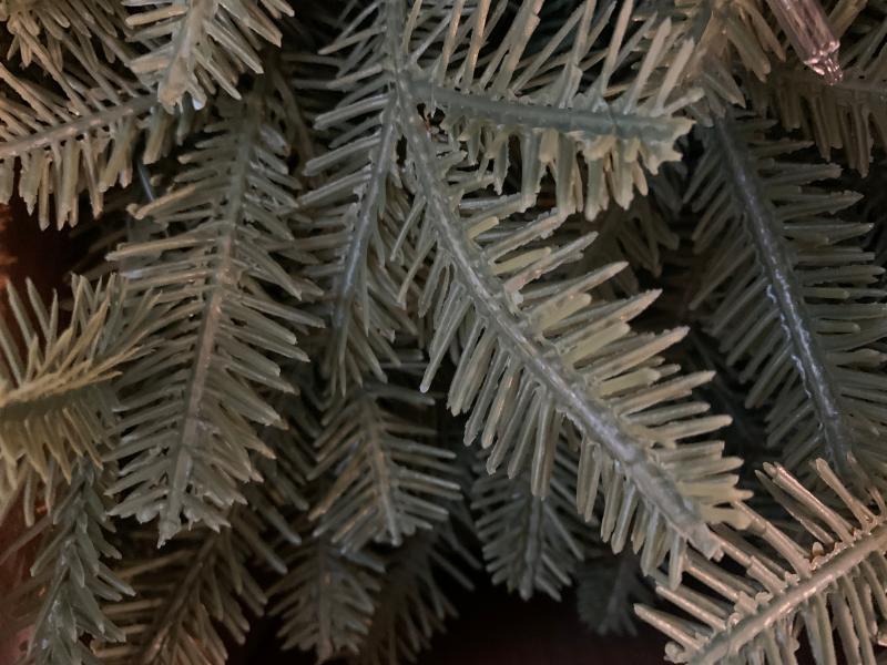 Closeup of plastic branch