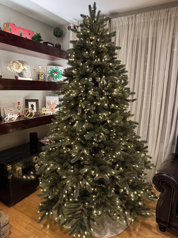 Review Thumbnail Image 2 373617194