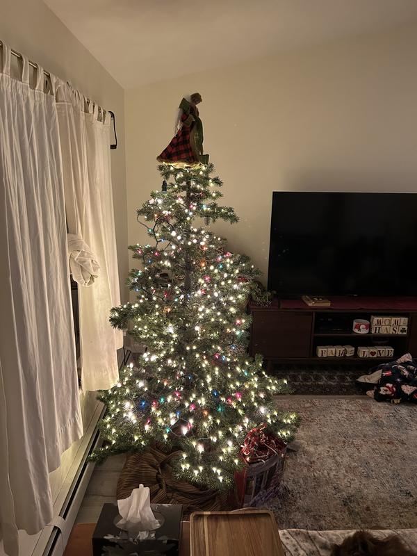 Review Thumbnail Image 2 376768668