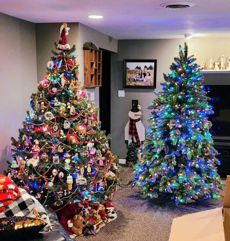 Our new 6.5-ft. Vermont White Spruce Tree next to our old one.