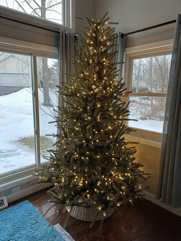 Poor light placement !