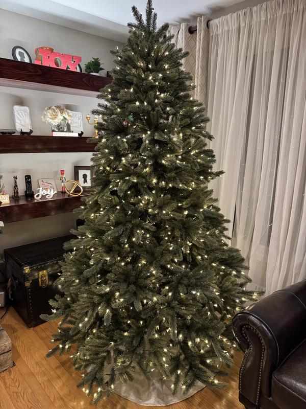 Review Thumbnail Image 3 373617194