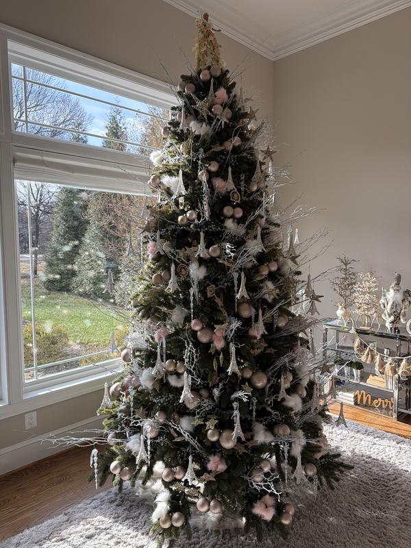 Review Thumbnail Image 0 373537356