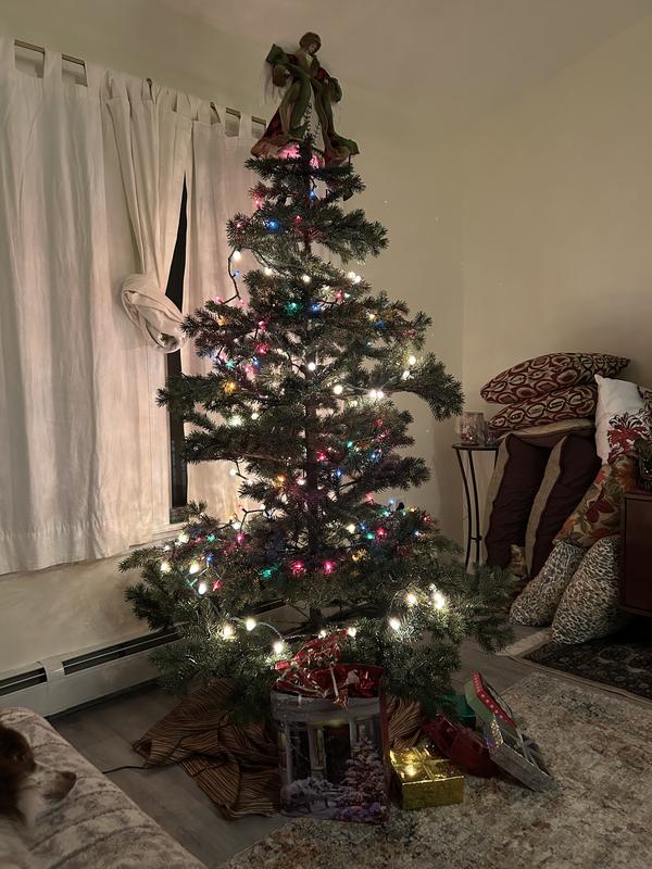 Review Thumbnail Image 5 376768668