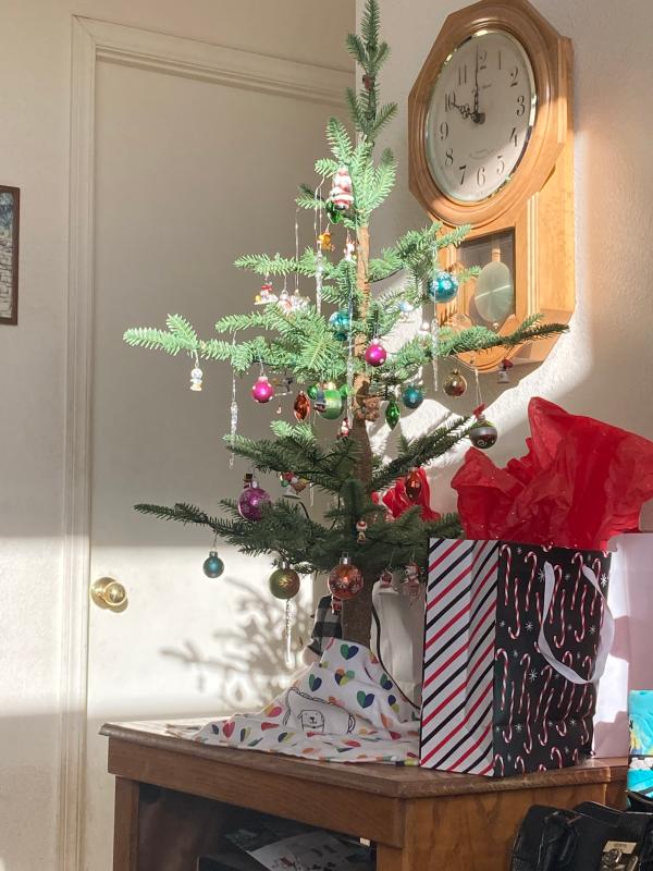 Nice little tree