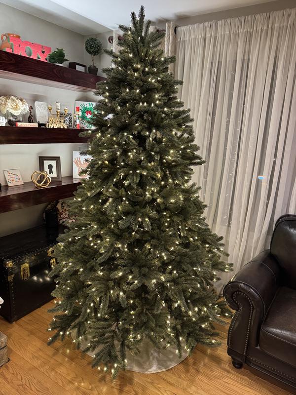 Review Thumbnail Image 0 373617194