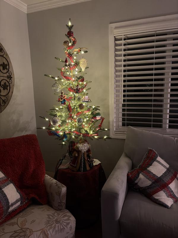 Alpine Balsam fir 4.5 feet