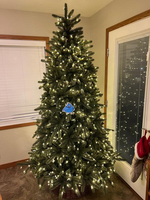 Not as impressed as I wanted to be for the amount of money spent!!!