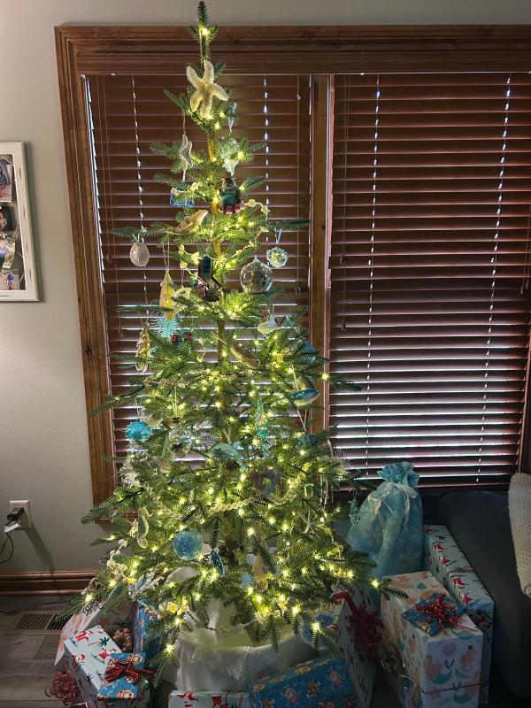 Perfect for my beach decor