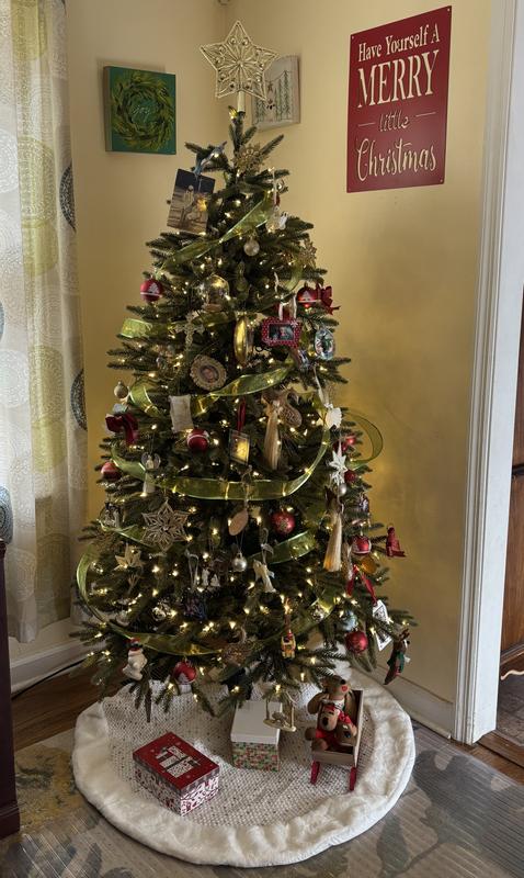 Decorated with colored and clear lights on.